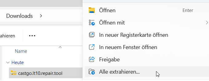 CastGo.LT10.Repair.Tool.zip extrahieren
